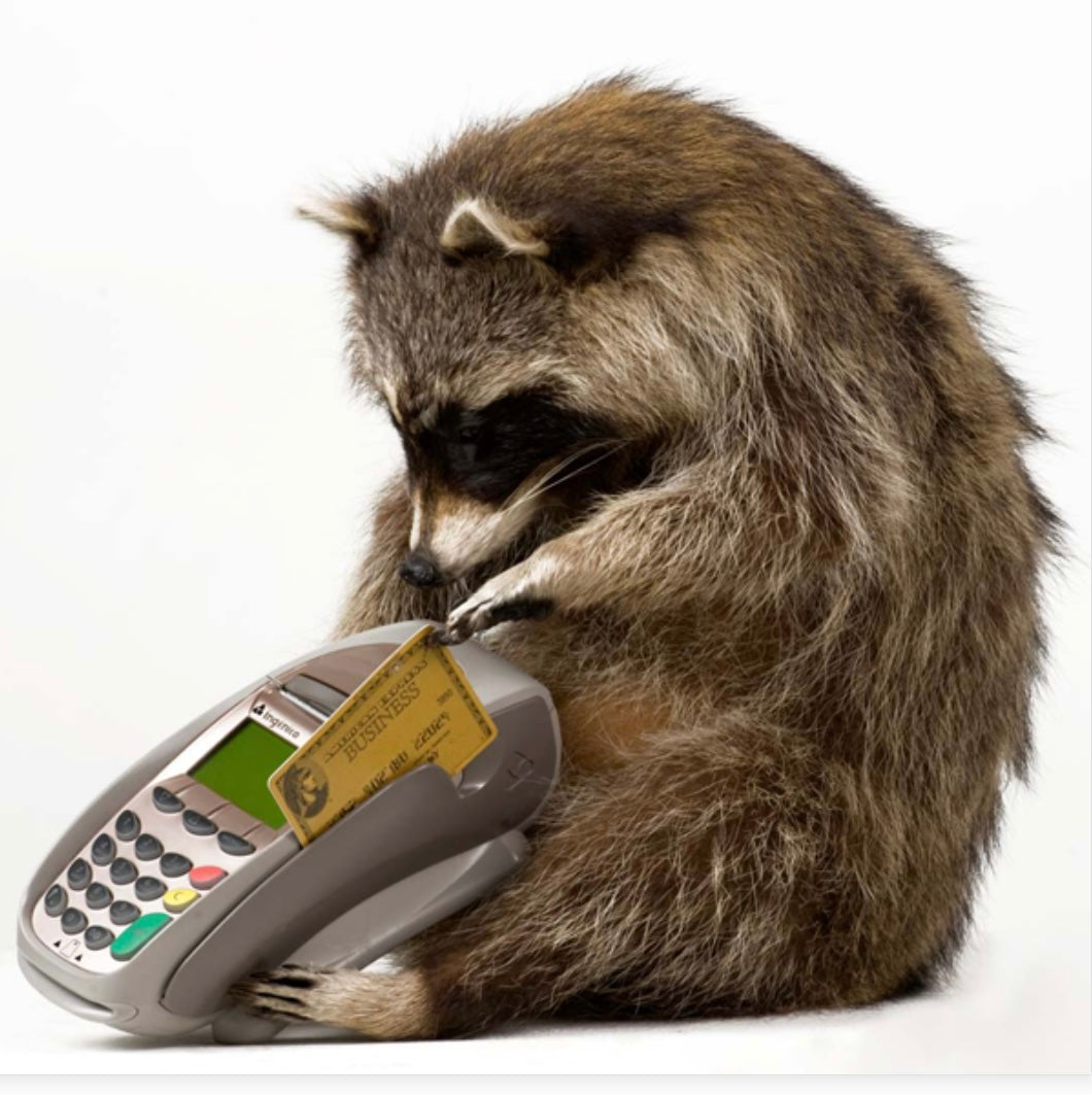 “Orsetto Pagatore”