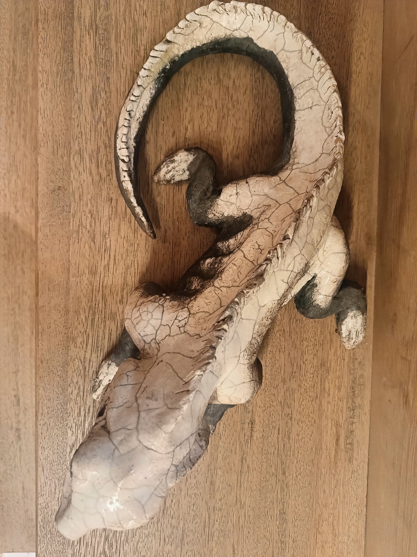 "Animali" Iguana