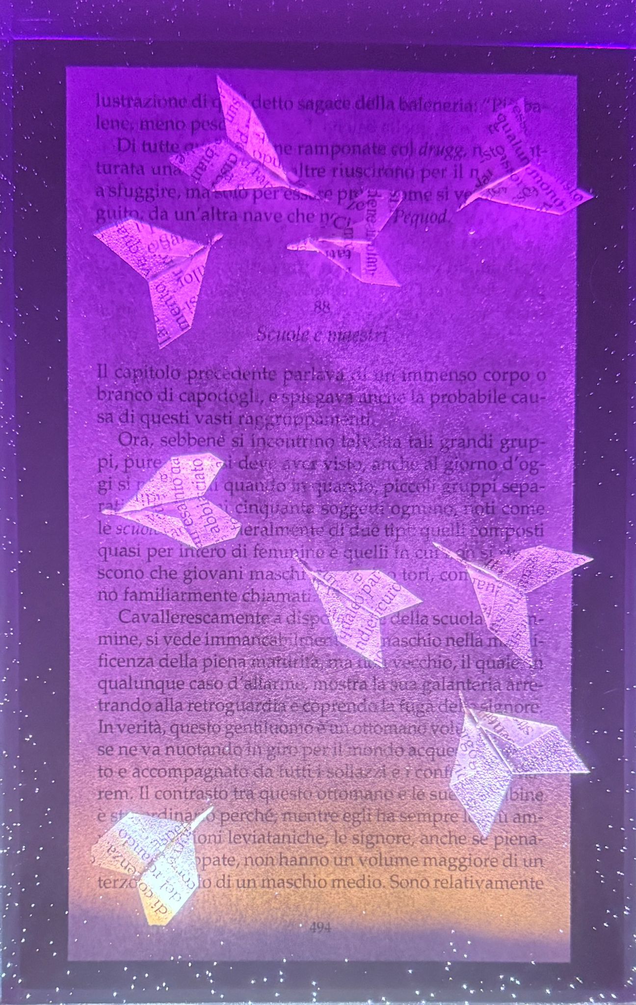 Mondo Melville “Scuole e Maestri”