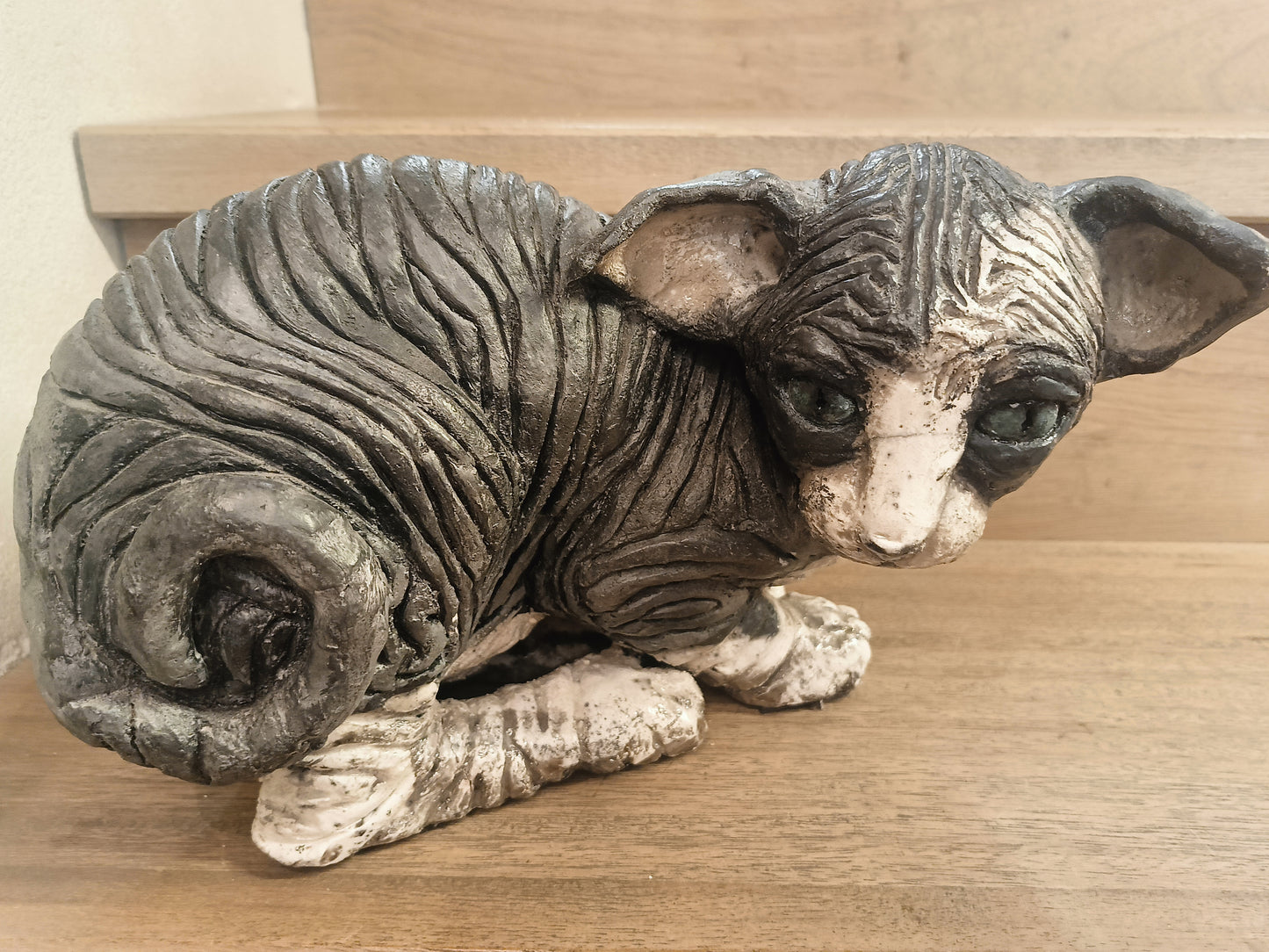 "Animali" Il Gatto