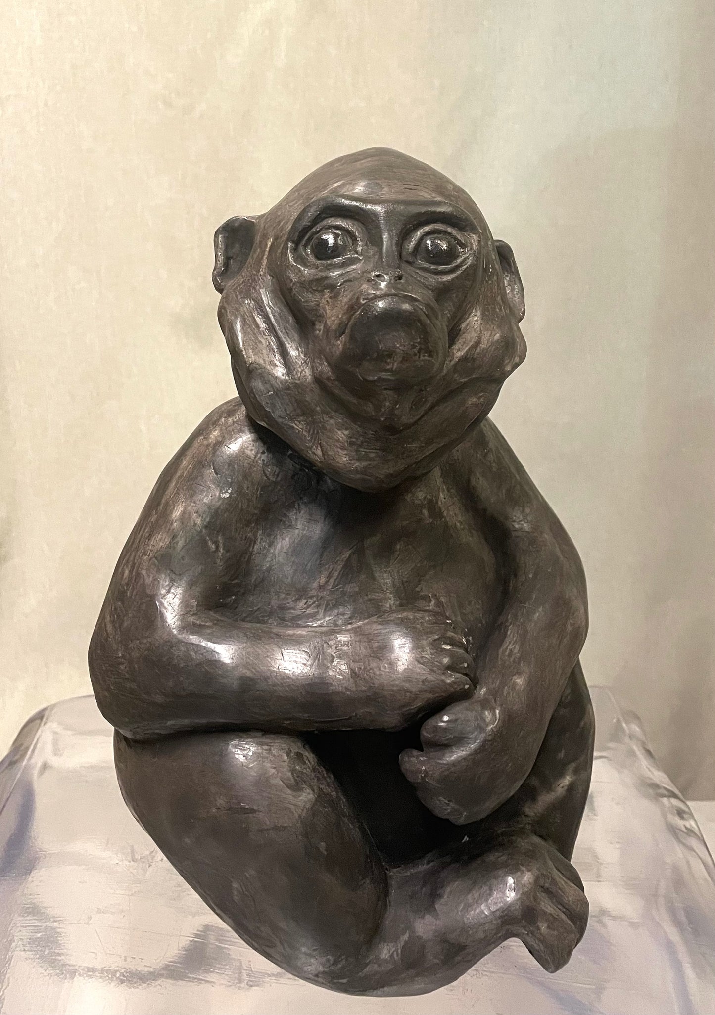 “Animali” La Scimmia