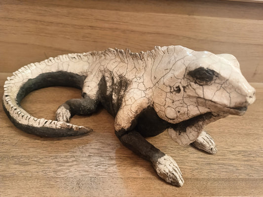 "Animali" Iguana