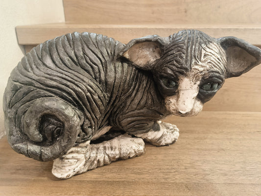 "Animali" Il Gatto